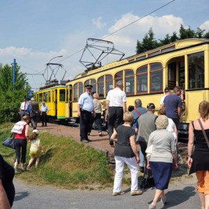 Reprise des balades en tramway 