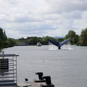 Une découverte incroyable !