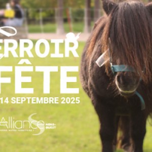 Terroir en fête