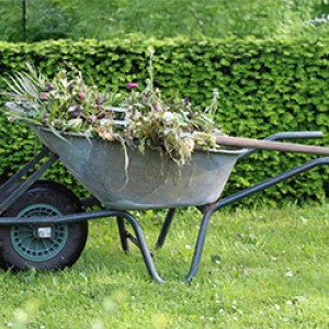 Je jardine Zéro déchet